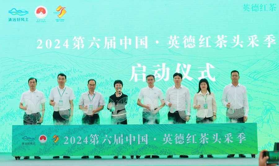 丝路对话委员会受邀参加2024第六届中国·英德红茶头采季开幕活动(图3)