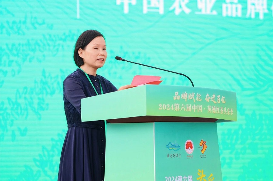 丝路对话委员会受邀参加2024第六届中国·英德红茶头采季开幕活动(图9)