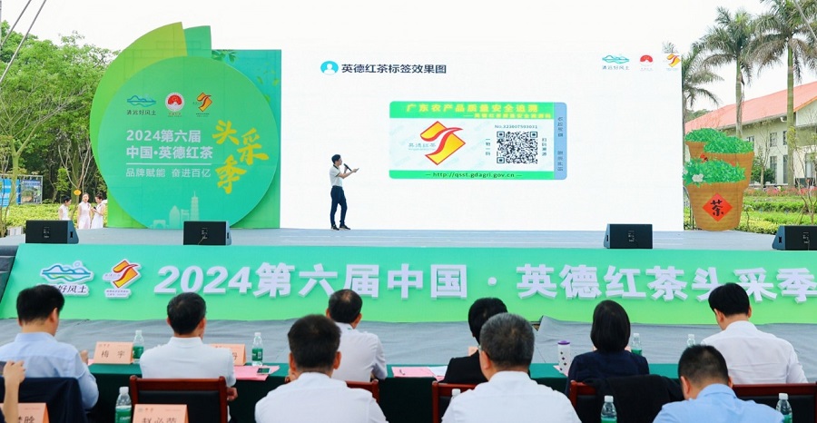 丝路对话委员会受邀参加2024第六届中国·英德红茶头采季开幕活动(图10)