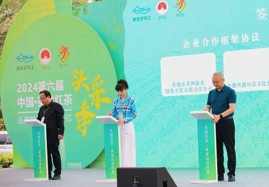 丝路对话委员会受邀参加2024第六届中国·英德红茶头采季开幕活动(图7)