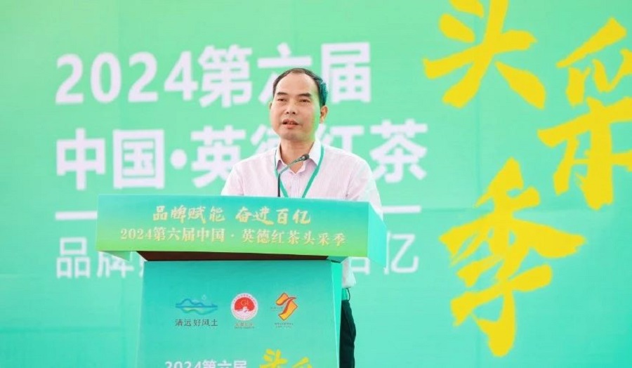 丝路对话委员会受邀参加2024第六届中国·英德红茶头采季开幕活动(图8)
