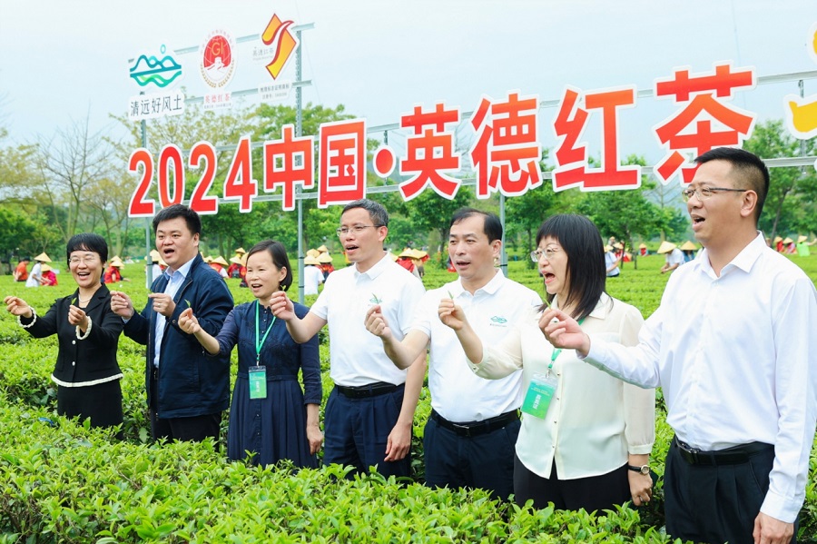 丝路对话委员会受邀参加2024第六届中国·英德红茶头采季开幕活动(图11)
