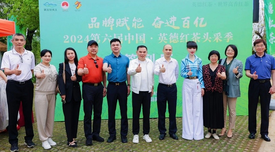 丝路对话委员会受邀参加2024第六届中国·英德红茶头采季开幕活动(图16)
