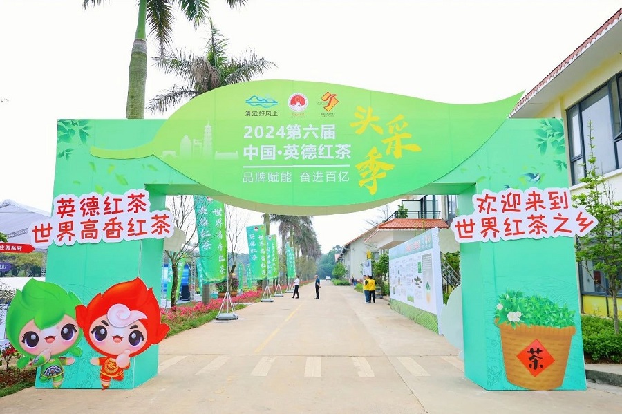 丝路对话委员会受邀参加2024第六届中国·英德红茶头采季开幕活动(图22)