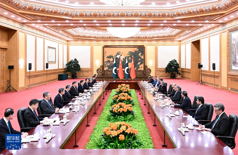 习近平主席同巴基斯坦总统扎尔达里会谈(图3)