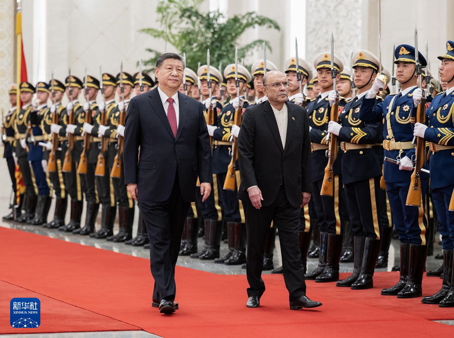 习近平主席同巴基斯坦总统扎尔达里会谈(图4)