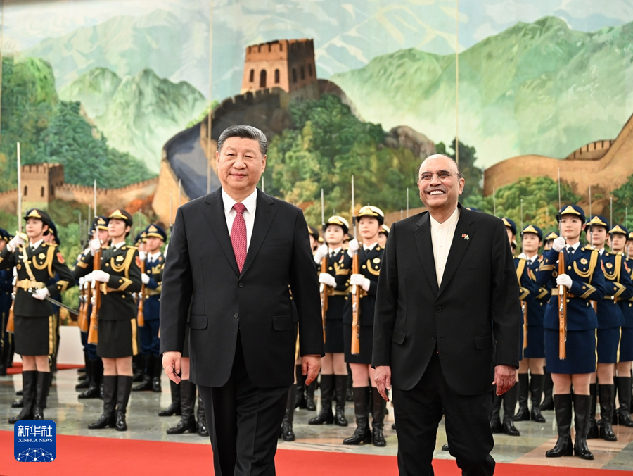 习近平主席同巴基斯坦总统扎尔达里会谈(图7)