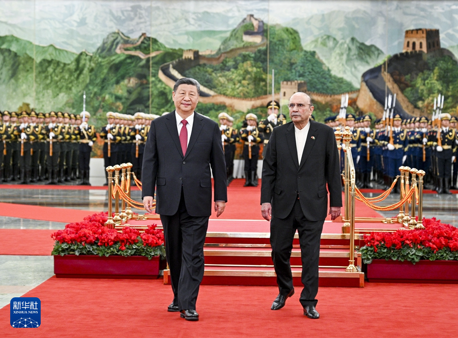 习近平主席同巴基斯坦总统扎尔达里会谈(图8)