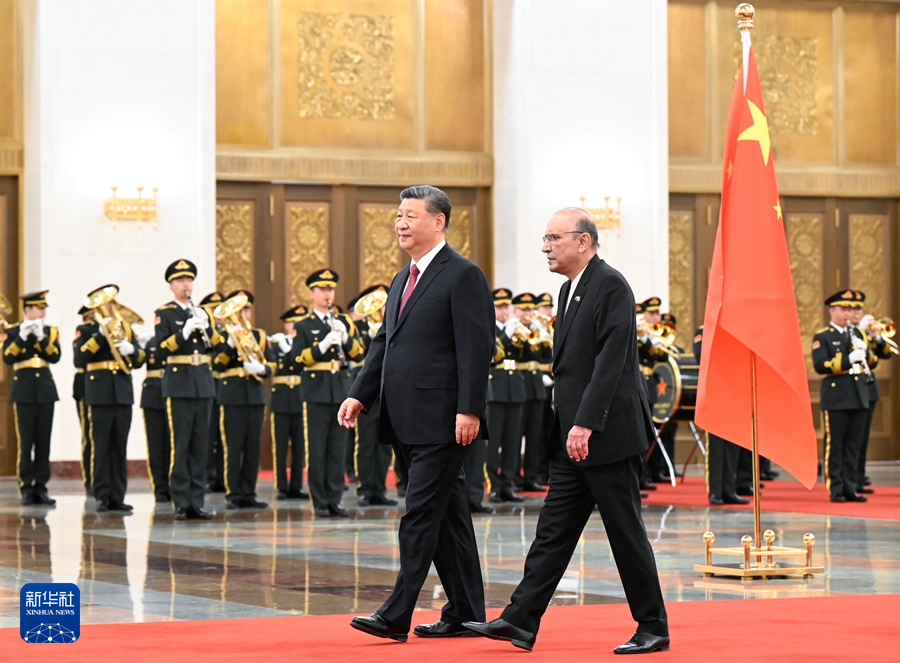 习近平主席同巴基斯坦总统扎尔达里会谈(图10)