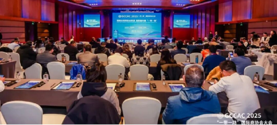 ANSO“一带一路”国际科技企业联盟副理事长兼秘书长、丝路对话创始人崔一婷受邀出席2025“一带一路”国际商协会大会(图13)